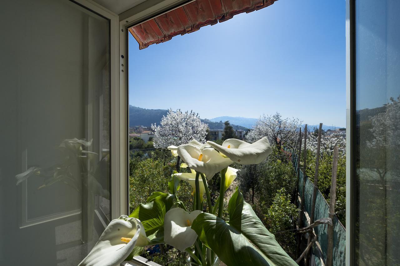 Casa Lina Villa Sant'Angelo  Exterior foto